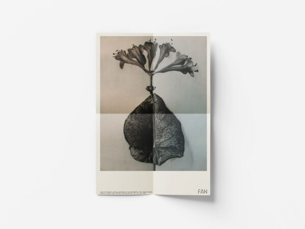 Fanzines - Imagen 8